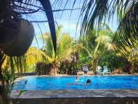 /album/fotogaleria-sri-lanka-ubytovanie1/0-hotely-sri-lanka-5-jpg1/